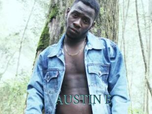 AUSTIN_E