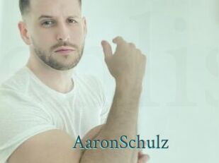 AaronSchulz En live show