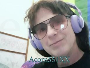 Acorn551XX