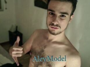 AleyModel
