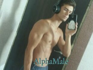 AlphaMale