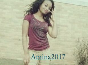 Amina2017