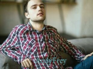 AndyFrey En live show