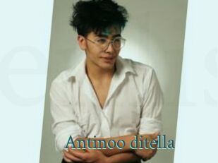 Antinoo_ditella