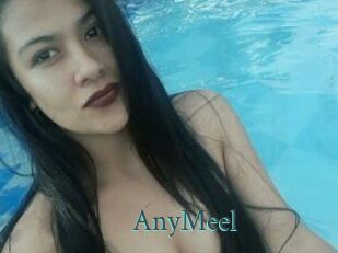 AnyMeel