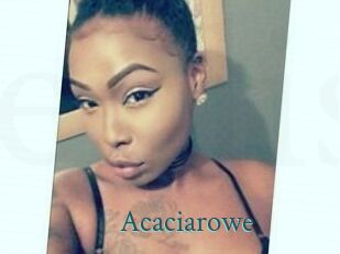 Acacia_rowe