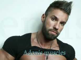 Adonis_muscles