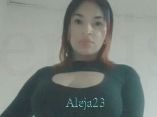 Aleja23