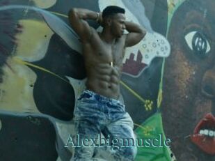 Alexbigmuscle