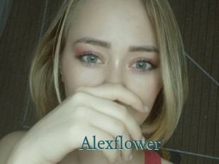 alexflower En live show