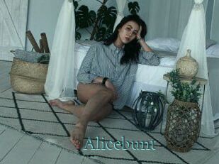 Alicebunt