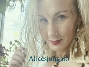 alicesjungalo En live show