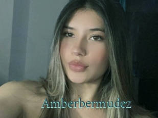 Amberbermudez