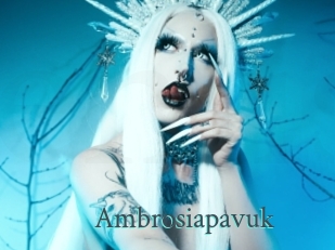 Ambrosiapavuk