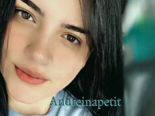 Andreinapetit