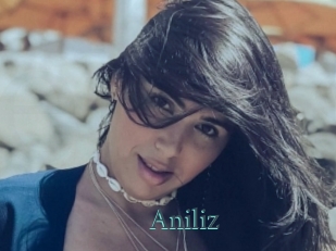 Aniliz