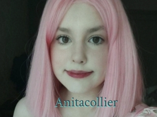 Anitacollier