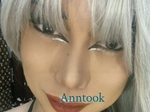 Anntook