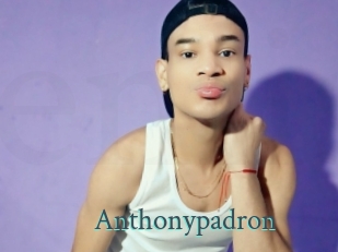 Anthonypadron