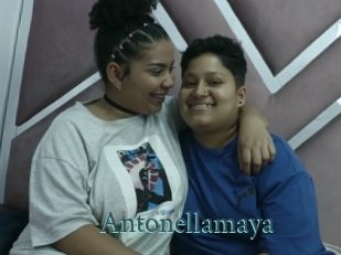 Antonellamaya