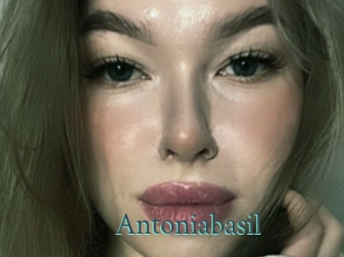 Antoniabasil