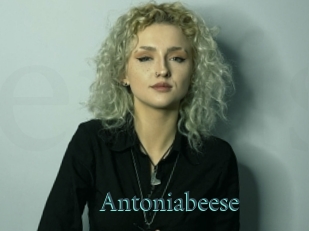 Antoniabeese