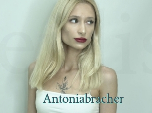 Antoniabracher