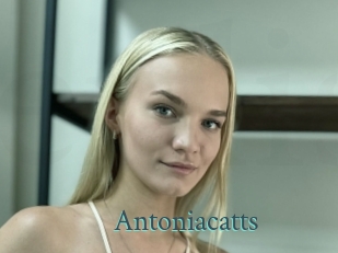 Antoniacatts