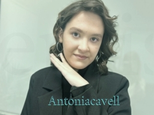 Antoniacavell