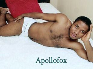 Apollofox