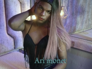 Ari_monet