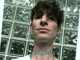 arielabs En live show