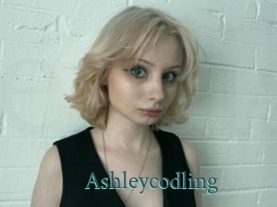 Ashleycodling