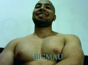 BIGMAU