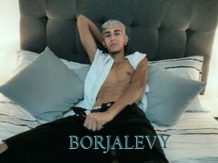 BORJALEVY