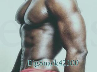 BigSnack42300
