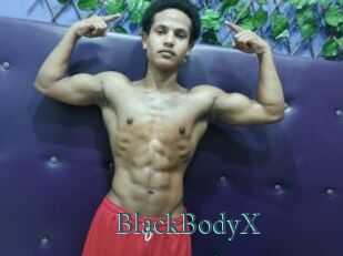 BlackBodyX