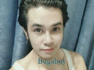 Bugaboy