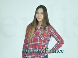 BurningFlamee