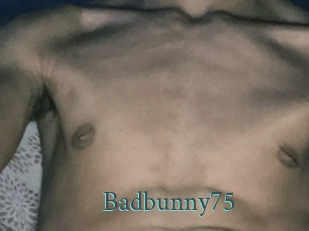 Badbunny75