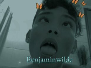 Benjaminwilde