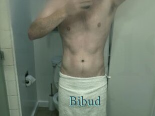 Bibud