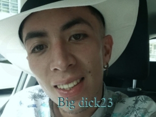 Big_dick23