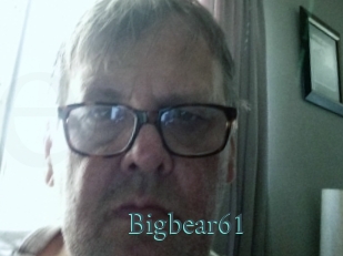 Bigbear61