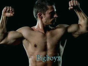 Bigboyx