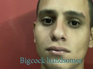 Bigcock_handsomes