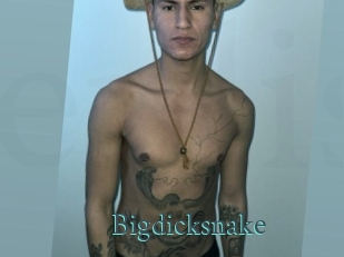 bigdicksnake En live show