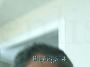 Bigdog614