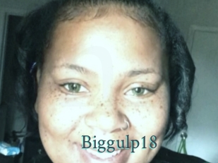 Biggulp18