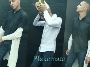 Blakemate